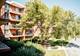 16 E Old Willow Unit 206-S, Prospect Heights, IL 60070