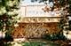 16 E Old Willow Unit 206-S, Prospect Heights, IL 60070