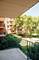 16 E Old Willow Unit 206-S, Prospect Heights, IL 60070