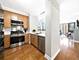 420 E Waterside Unit 1410, Chicago, IL 60601