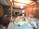 26216 N Elmwood, Mundelein, IL 60060