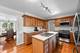 530 Pinecroft, Roselle, IL 60172