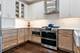 1051 W Monroe Unit 4, Chicago, IL 60607