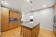 1433 S Prairie Unit H, Chicago, IL 60605