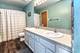 543 Silver Leaf Unit 2, Joliet, IL 60431