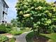 1259 W Lake Unit 206, Addison, IL 60101