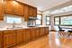6227 N Naper, Chicago, IL 60631