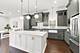 4106 N St Louis, Chicago, IL 60618