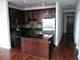 1255 S State Unit 1717, Chicago, IL 60605