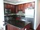 1255 S State Unit 1717, Chicago, IL 60605