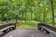 2S943 Shagbark, Batavia, IL 60510