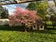 23565 W Margate, Antioch, IL 60002