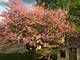 23565 W Margate, Antioch, IL 60002