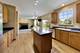 14106 Glenwood, Libertyville, IL 60048