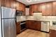 850 N Dewitt Unit 10G, Chicago, IL 60611