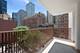200 E Delaware Unit 7D, Chicago, IL 60611