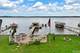 38137 N Bolton, Antioch, IL 60002