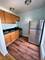 1332 W Hood Unit 205, Chicago, IL 60660