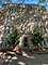 1332 W Hood Unit 205, Chicago, IL 60660