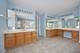 695 Easton, Elk Grove Village, IL 60007