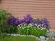779 Feather Sound, Bolingbrook, IL 60440