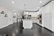 1915 W Wolfram, Chicago, IL 60657