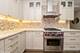 510 W Erie Unit 906, Chicago, IL 60654