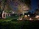 2820 Fairhauser, Naperville, IL 60564