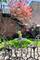 3921 N Greenview Unit 1, Chicago, IL 60613