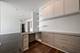 1201 S Prairie Unit 3702, Chicago, IL 60605
