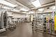 211 E Ohio Unit 1115, Chicago, IL 60611