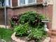 1634 W Fargo, Chicago, IL 60626