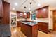 620 Canyon, Elgin, IL 60123