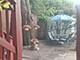 1995 Howard Unit 1R, Des Plaines, IL 60018