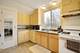 101 W Maple, Roselle, IL 60172