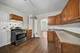 8220 S Houston, Chicago, IL 60617