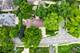 220 E Hillside, Naperville, IL 60540