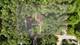 26797 W Longwood, Ingleside, IL 60041