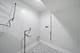 1641 N Springfield, Chicago, IL 60647