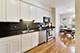 320 E 17th, Chicago, IL 60616