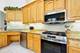 13100 Fox, Lemont, IL 60439