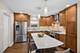 1104 Greenfield, Oak Park, IL 60302