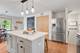33672 N Greentree, Grayslake, IL 60030