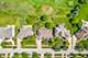 2439 Fawn Lake, Naperville, IL 60564