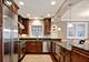 3545 N Wilton Unit 3S, Chicago, IL 60657
