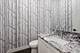 2448 W Moffat, Chicago, IL 60647