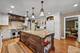 1986 Camphill, Inverness, IL 60067