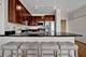 1150 W 15th Unit 418, Chicago, IL 60608