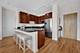 1150 W 15th Unit 418, Chicago, IL 60608