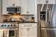 2707 N Halsted Unit 3, Chicago, IL 60614